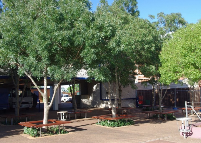Toowoomba Tree Farms