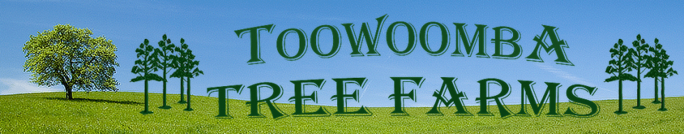 Toowoomba Tree Farms